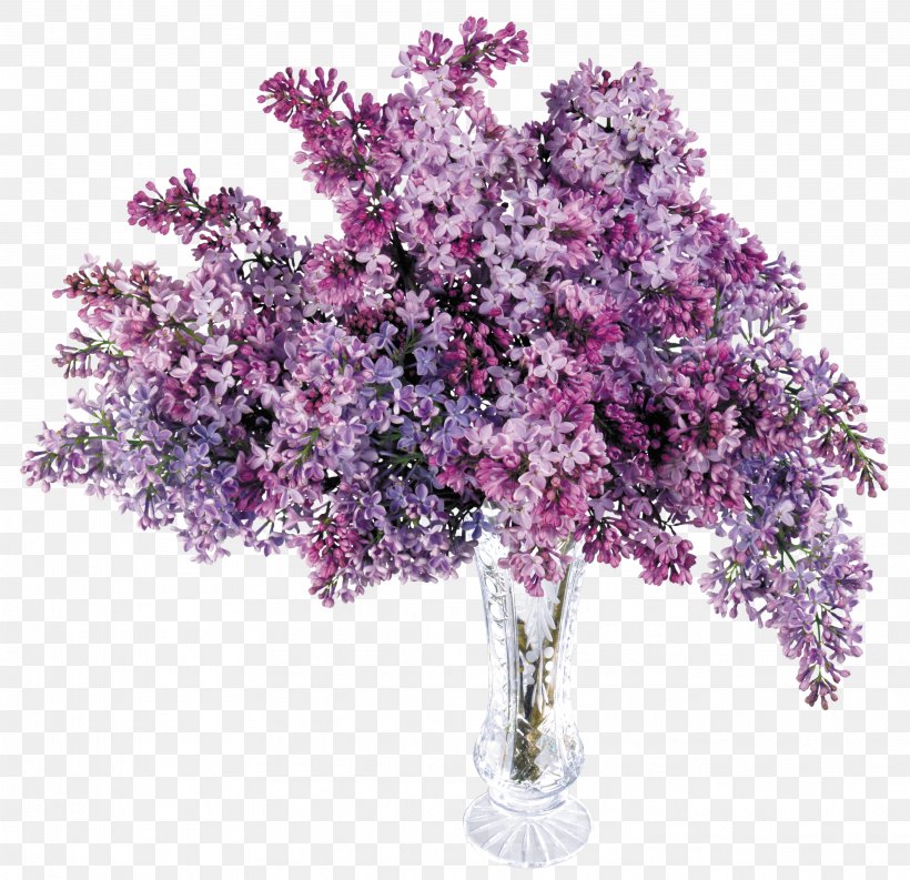 Lilac Computer File, PNG, 3632x3513px, Common Lilac, Artificial Flower, Blossom, Branch, Cherry Blossom Download Free