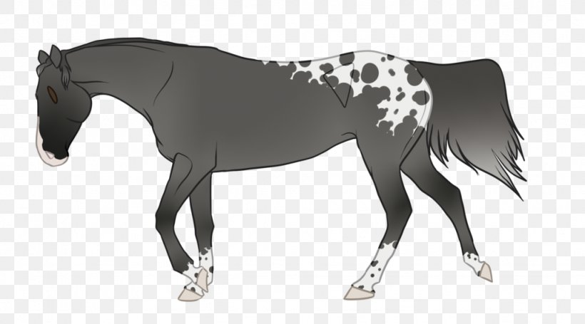 Mane Mustang Stallion Foal Mare, PNG, 1024x569px, Mane, Animal Figure, Bridle, Colt, Dog Harness Download Free