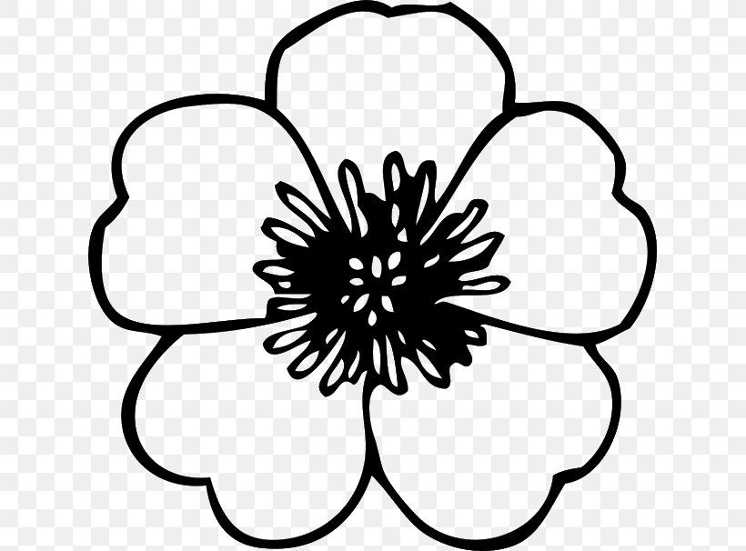 Clip Art Openclipart Flower Free Content Image, PNG, 625x606px, Flower, Blackandwhite, Coloring Book, Document, Flower Bouquet Download Free