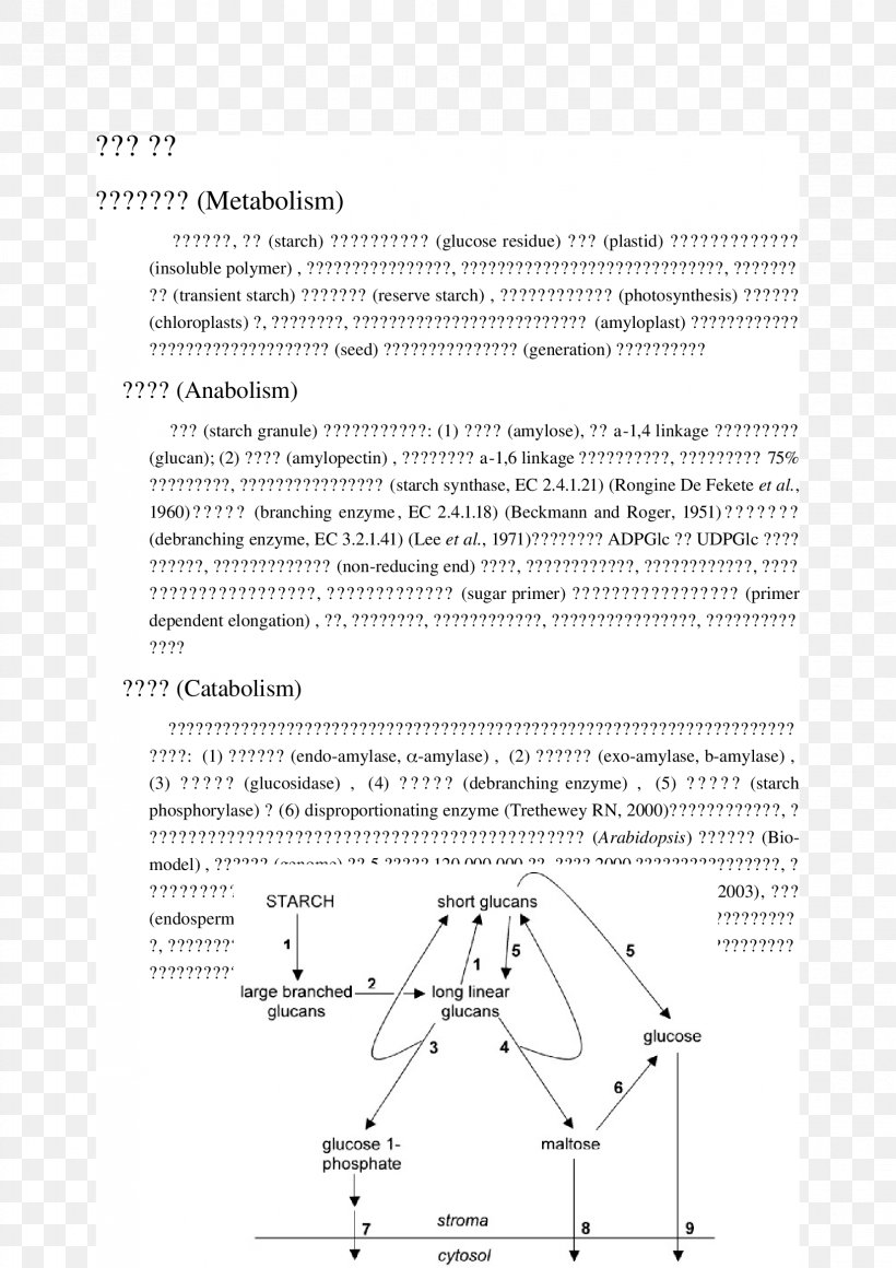 Document Line Angle, PNG, 1653x2339px, Document, Area, Black And White, Diagram, Paper Download Free