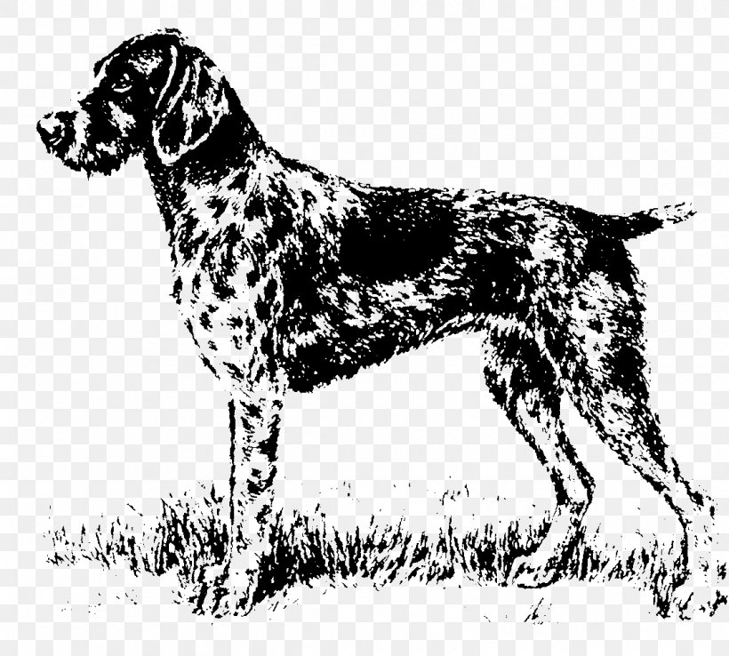 Old Danish Pointer Small Münsterländer Auvergne Pointer Dog Breed Hunting Dog, PNG, 1109x999px, Old Danish Pointer, Black And White, Brac, Braque D Auvergne, Breed Download Free