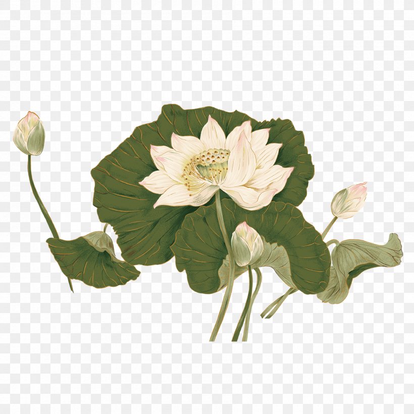 Painting Nelumbo Nucifera Poster, PNG, 1800x1800px, Painting, Annual Plant, Artificial Flower, Chinoiserie, Cut Flowers Download Free