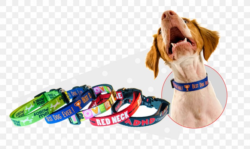 Puppy Leash Dog Collar Pet, PNG, 1037x621px, Puppy, Collar, Dog, Dog Collar, Dog Like Mammal Download Free