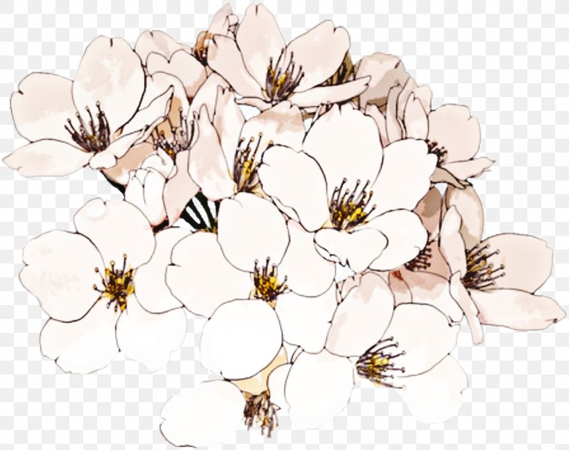 Cherry Blossom, PNG, 1112x881px, White, Blossom, Cherry Blossom, Flower, Petal Download Free