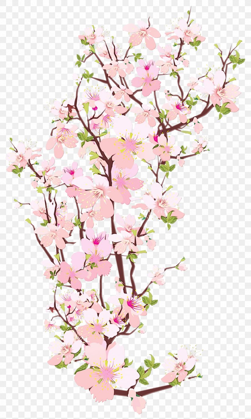 Cherry Blossom Tree Drawing, PNG, 1774x2953px, Watercolor, Blossom, Branch, Cherries, Cherry Blossom Download Free