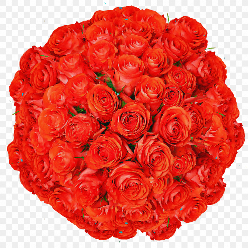 Garden Roses, PNG, 1000x1000px, Garden Roses, Artificial Flower, Cut Flowers, Floral Design, Floribunda Download Free