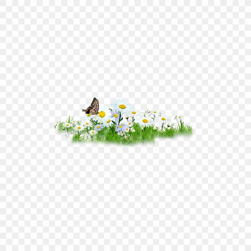 Butterfly Download, PNG, 1200x1200px, Butterfly, Designer, Flower, Grass, Resource Download Free