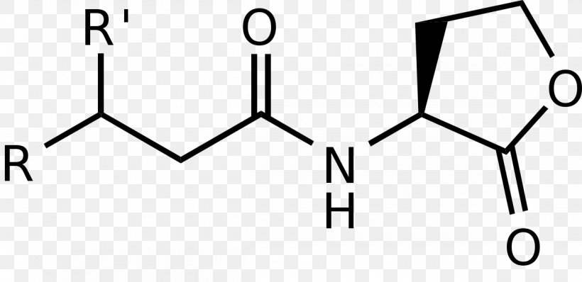 Carboxylic Acid Acetohydroxamic Acid Amino Acid Acetic Acid, PNG, 1200x583px, 3aminobenzoic Acid, Acid, Acetic Acid, Amino Acid, Anthranilic Acid Download Free