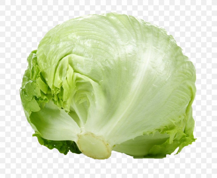 Romaine Lettuce Iceberg Lettuce Leaf Vegetable Salad, PNG, 1517x1252px, Romaine Lettuce, Cabbage, Collard Greens, Cruciferous Vegetables, Food Download Free