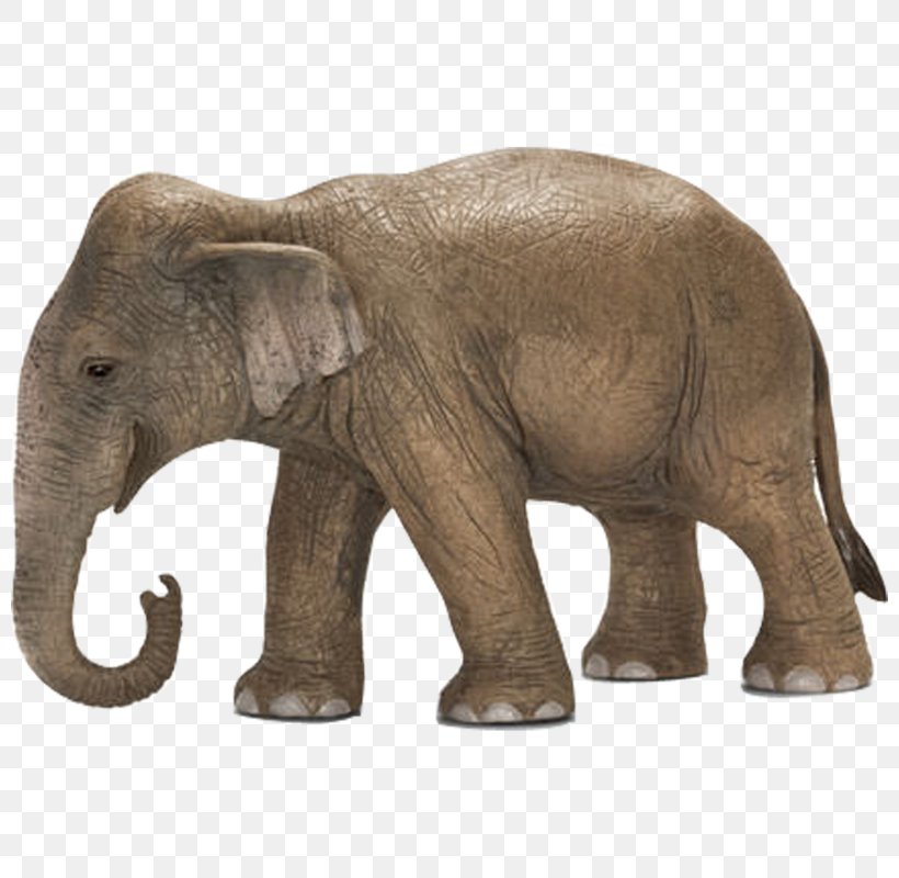 African Elephant Schleich Asia Amazon.com, PNG, 800x800px, African Elephant, Action Toy Figures, Amazoncom, Animal Figure, Asia Download Free