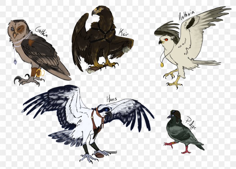 Bald Eagle Bird Hawk Vulture Drawing, PNG, 1024x734px, Bald Eagle, Accipitriformes, Art, Beak, Bird Download Free