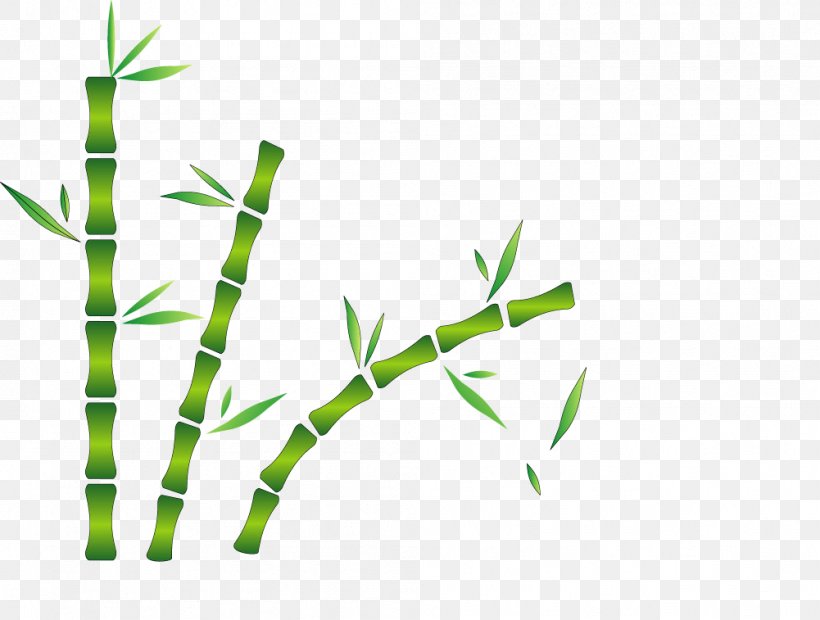 bamboo cartoon