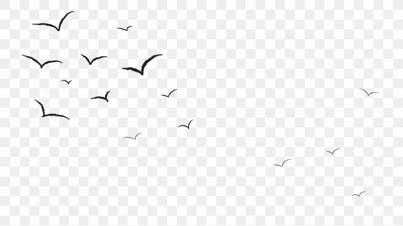 Bird Crane Black And White Animal Migration Monochrome Photography, PNG, 8000x4500px, Bird, Animal, Animal Migration, Beak, Bird Migration Download Free