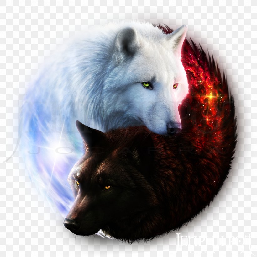 Gray Wolf Hoodie T-shirt Yin And Yang Clothing, PNG, 1600x1600px, Gray Wolf, Bluza, Canis Lupus Tundrarum, Clothing, Dog Like Mammal Download Free