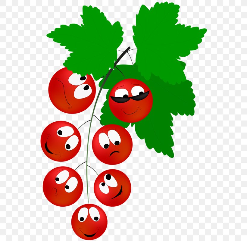 Redcurrant Berry Vegetable Drawing, PNG, 555x800px, Redcurrant, Animation, Apple, Bell Pepper, Berry Download Free