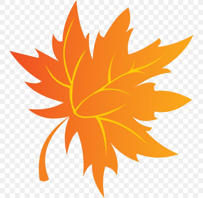 School Drawing, PNG, 743x800px, Drawing, Book, Flower, Leaf, Maple Leaf Download Free