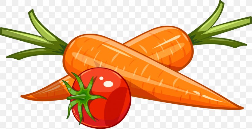 Carrot Drawing Royalty-free Illustration, PNG, 1616x833px, Carrot, Arracacia Xanthorrhiza, Diet Food, Drawing, Food Download Free
