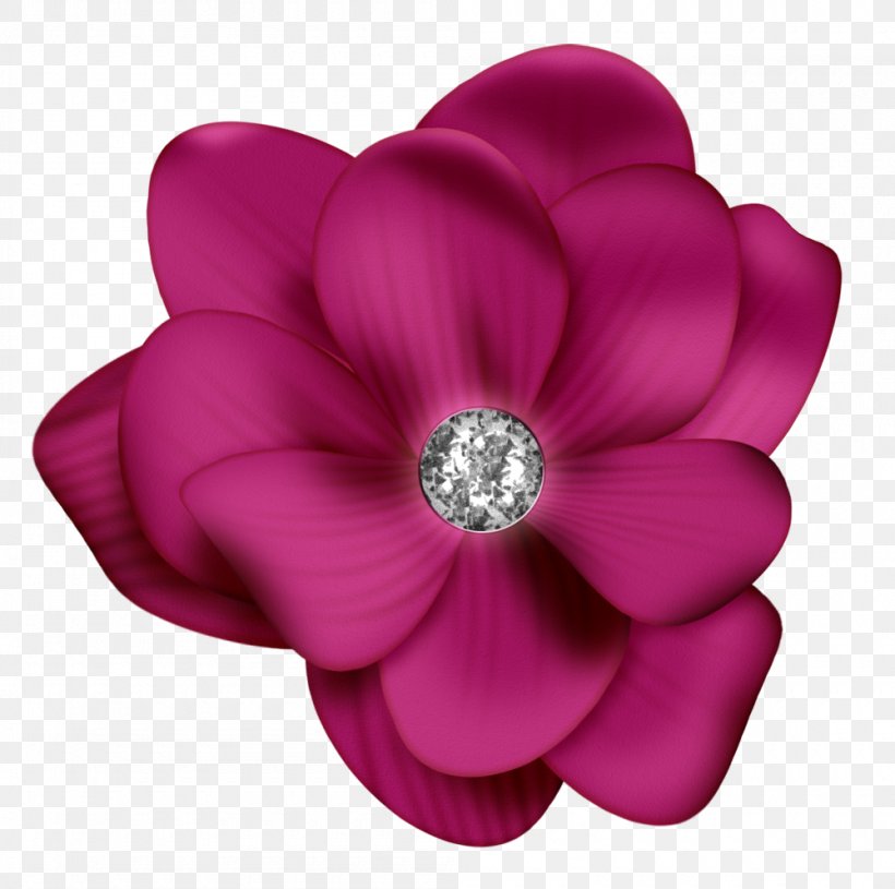تبرج Halawethom Flower Clip Art, PNG, 1000x994px, Halawethom, Cut Flowers, Flower, Flowering Plant, God Download Free
