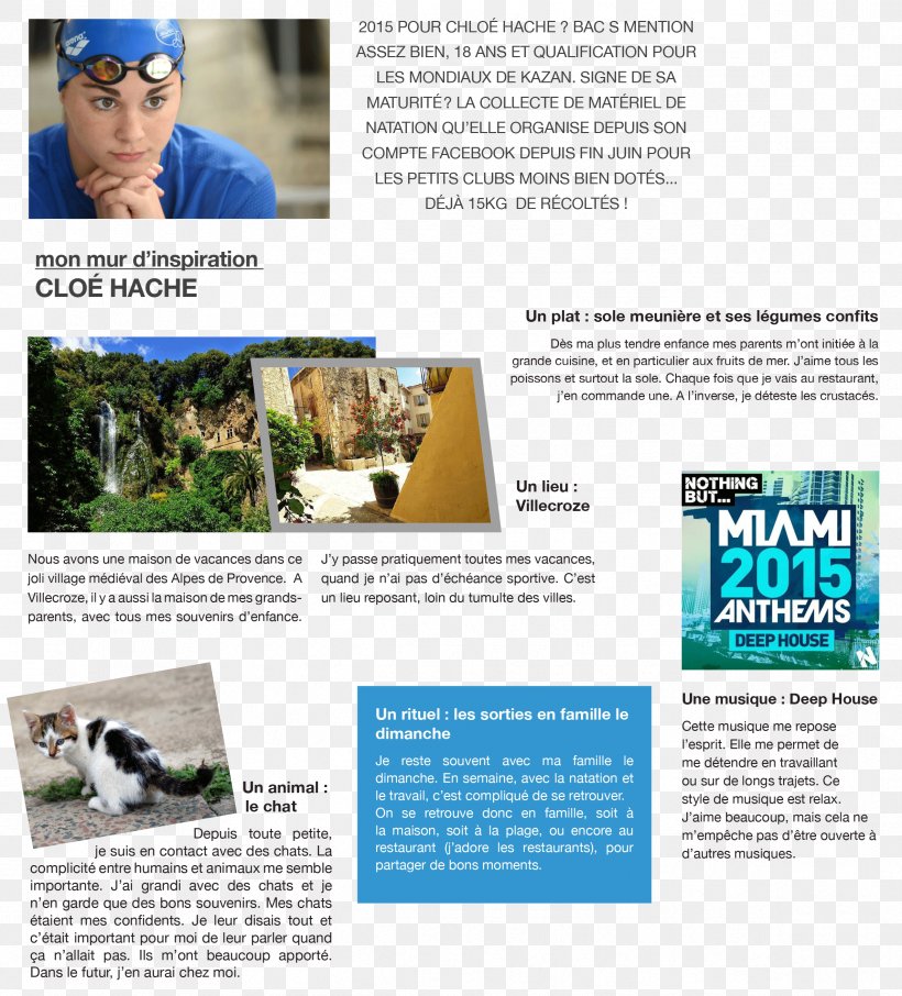 Kitten Brochure, PNG, 2376x2627px, Kitten, Advertising, Bass, Brochure, Miami Download Free