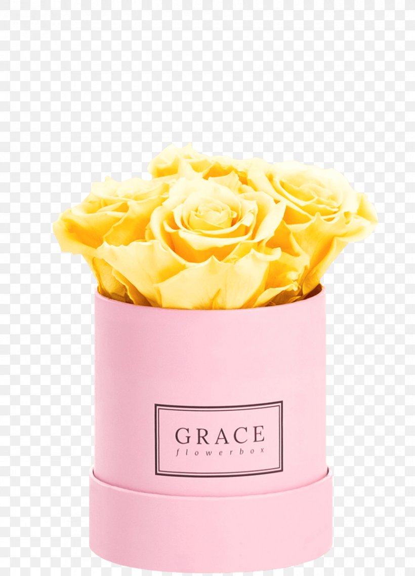 Rose Flower Box Pink Cut Flowers, PNG, 865x1200px, Rose, Apricot, Computer Software, Cream, Cut Flowers Download Free