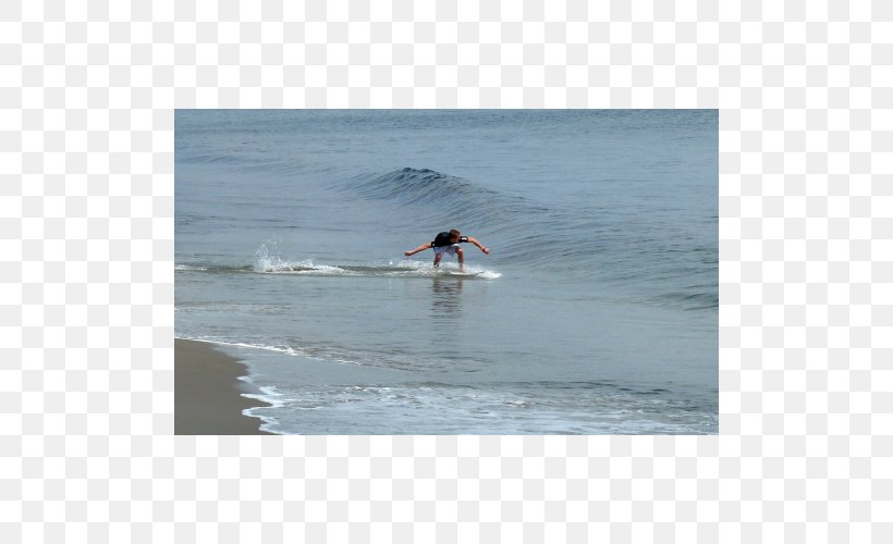 Surfing 09738 Surfboard Shore Ocean, PNG, 500x500px, Surfing, Arctic, Boardsport, Coastal And Oceanic Landforms, Group Of Seven Download Free