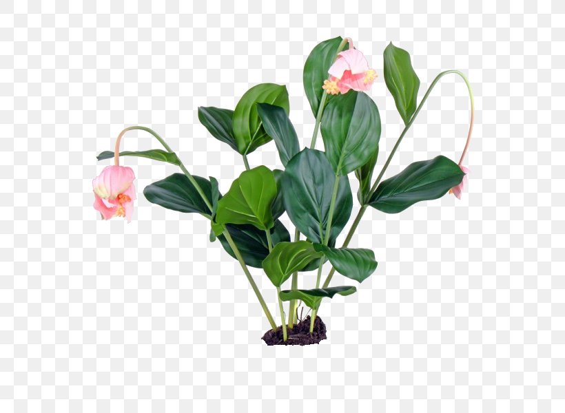 Cut Flowers Floral Design Flowerpot Artificial Flower, PNG, 600x600px, Cut Flowers, Artificial Flower, Branch, Floral Design, Flower Download Free