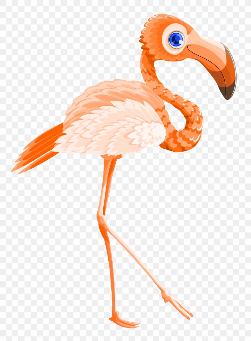 Flamingo Valentines Day, PNG, 1515x2061px, Bird, Animal, Beak, Ciconiiformes, Flamingo Download Free