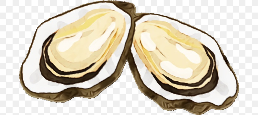 Oyster Food Legume Bivalve, PNG, 700x366px, Watercolor, Bivalve, Food, Legume, Oyster Download Free