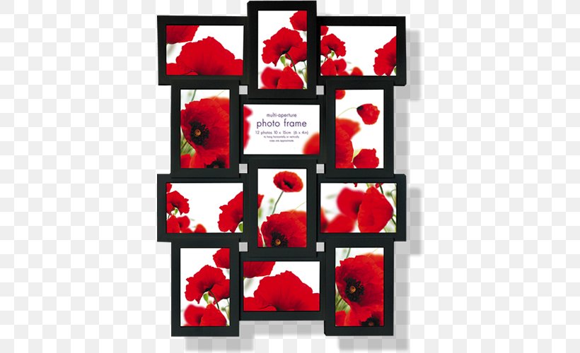 Picture Frames Aperture Mat, PNG, 500x500px, Picture Frames, Aperture, Collage, Coquelicot, Cut Flowers Download Free