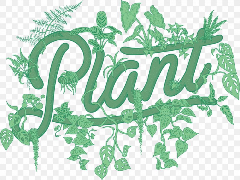 PLANT By Packwood Tillandsia Funckiana Nursery Houseplant, PNG, 1500x1125px, Tillandsia Funckiana, Brand, Calligraphy, Flora, Flowering Plant Download Free