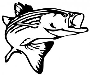 Peacock Bass Largemouth Bass Bass Fishing Decal, PNG, 445x600px, Peacock  Bass, Bass, Bass Fishing, Decal, Fauna Download Free