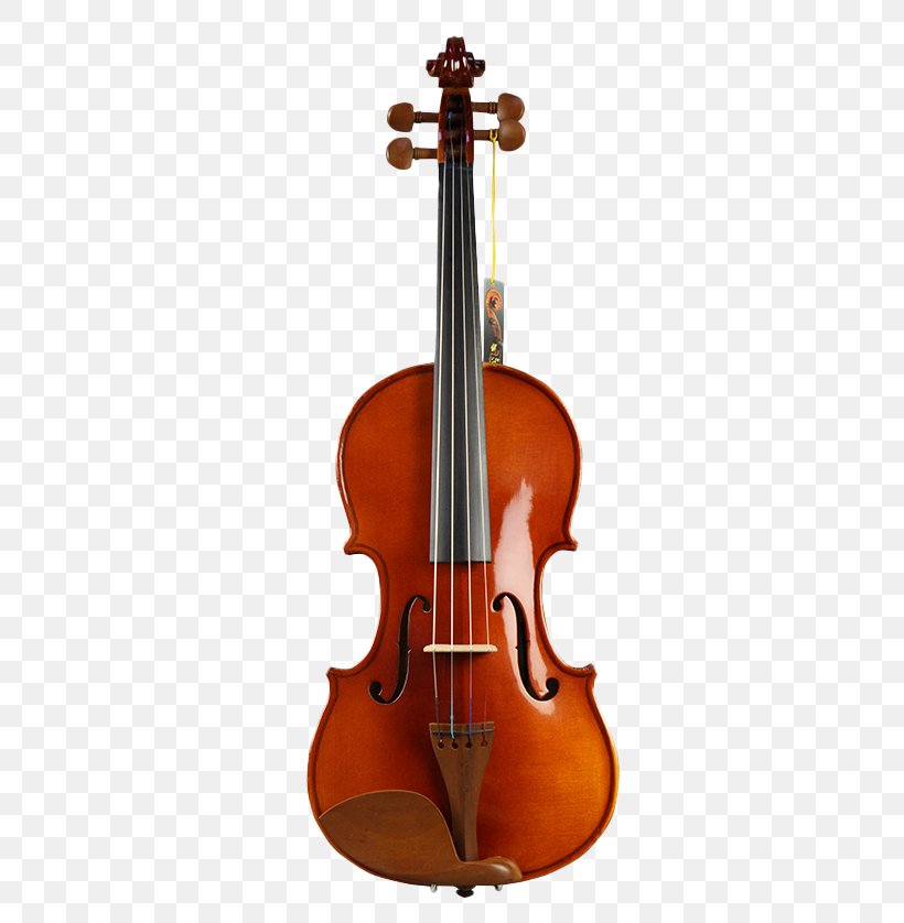 Violin Making And Maintenance Stradivarius Musical Instrument Luthier, PNG, 800x838px, Violin, Amati, Antonio Stradivari, Bass Violin, Bowed String Instrument Download Free