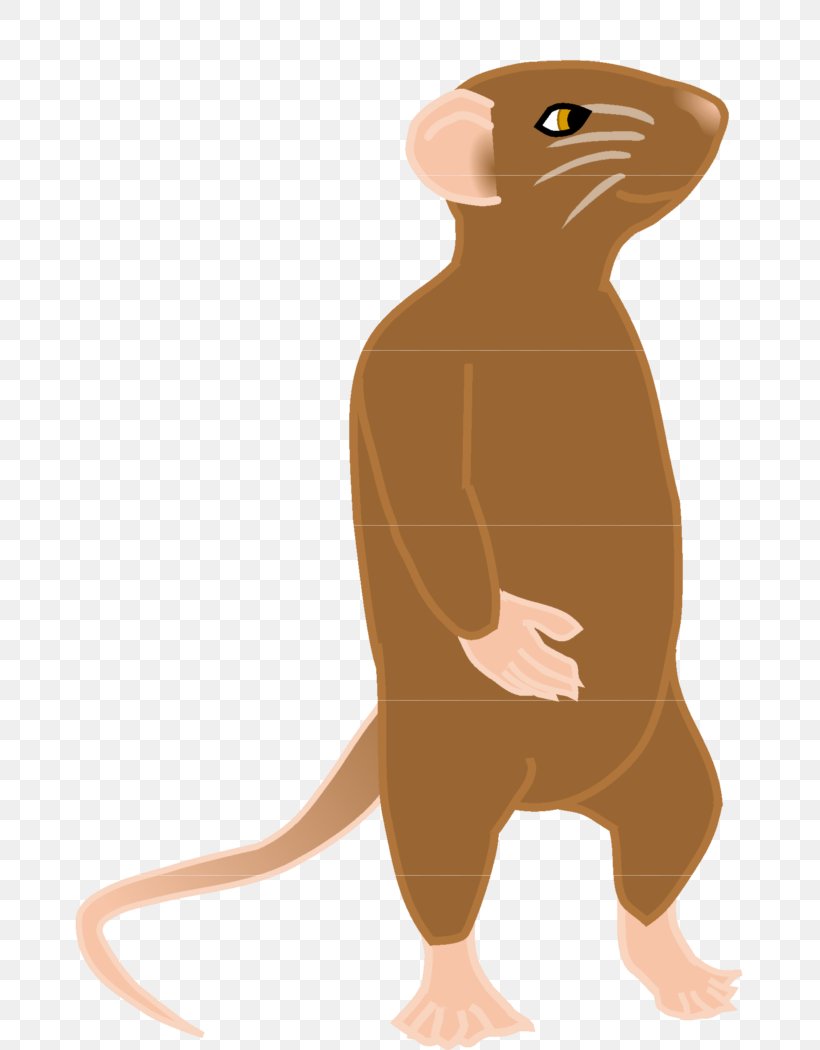 Whiskers Illustration Computer Mouse Cartoon Snout, PNG, 669x1050px, Whiskers, Beaver, Carnivoran, Carnivores, Cartoon Download Free