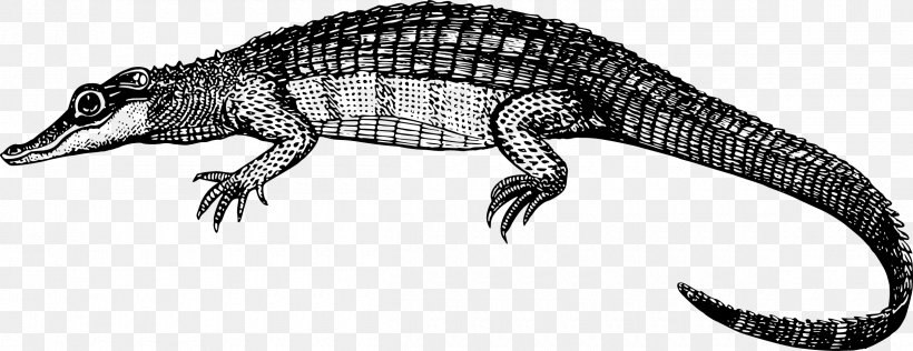 Crocodile Alligator Caiman Clip Art, PNG, 2400x926px, Crocodile, Alligator, American Crocodile, Amphibian, Animal Figure Download Free