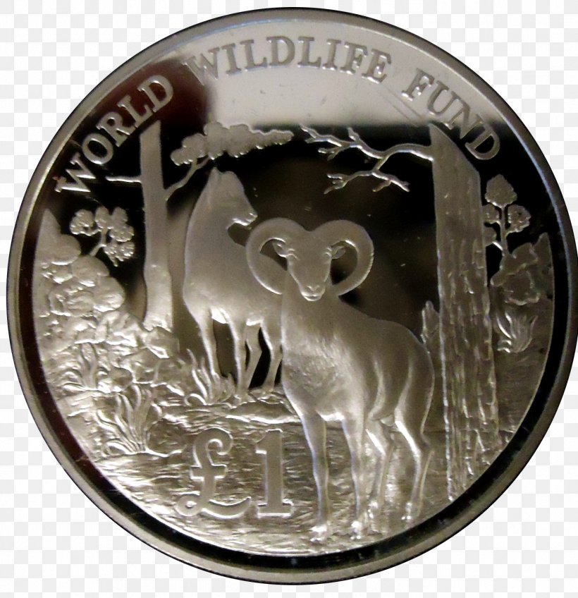 Silver Coin Money Medal Currency, PNG, 1392x1440px, Silver, Coin, Currency, Medal, Money Download Free