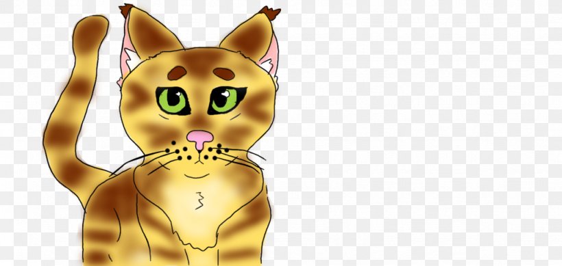 Whiskers Cat Snout Cartoon, PNG, 1024x486px, Whiskers, Carnivoran, Cartoon, Cat, Cat Like Mammal Download Free