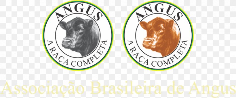 Angus Cattle Brangus Brazilian Angus Association Taurine Cattle Red Angus, PNG, 840x352px, Angus Cattle, Agriculture, Animal Husbandry, Bovinicoltura, Brand Download Free
