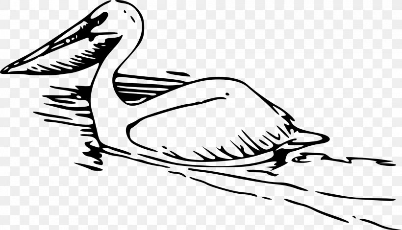Pelican Clip Art, PNG, 1920x1102px, Pelican, Art, Artwork, Beak, Bird Download Free