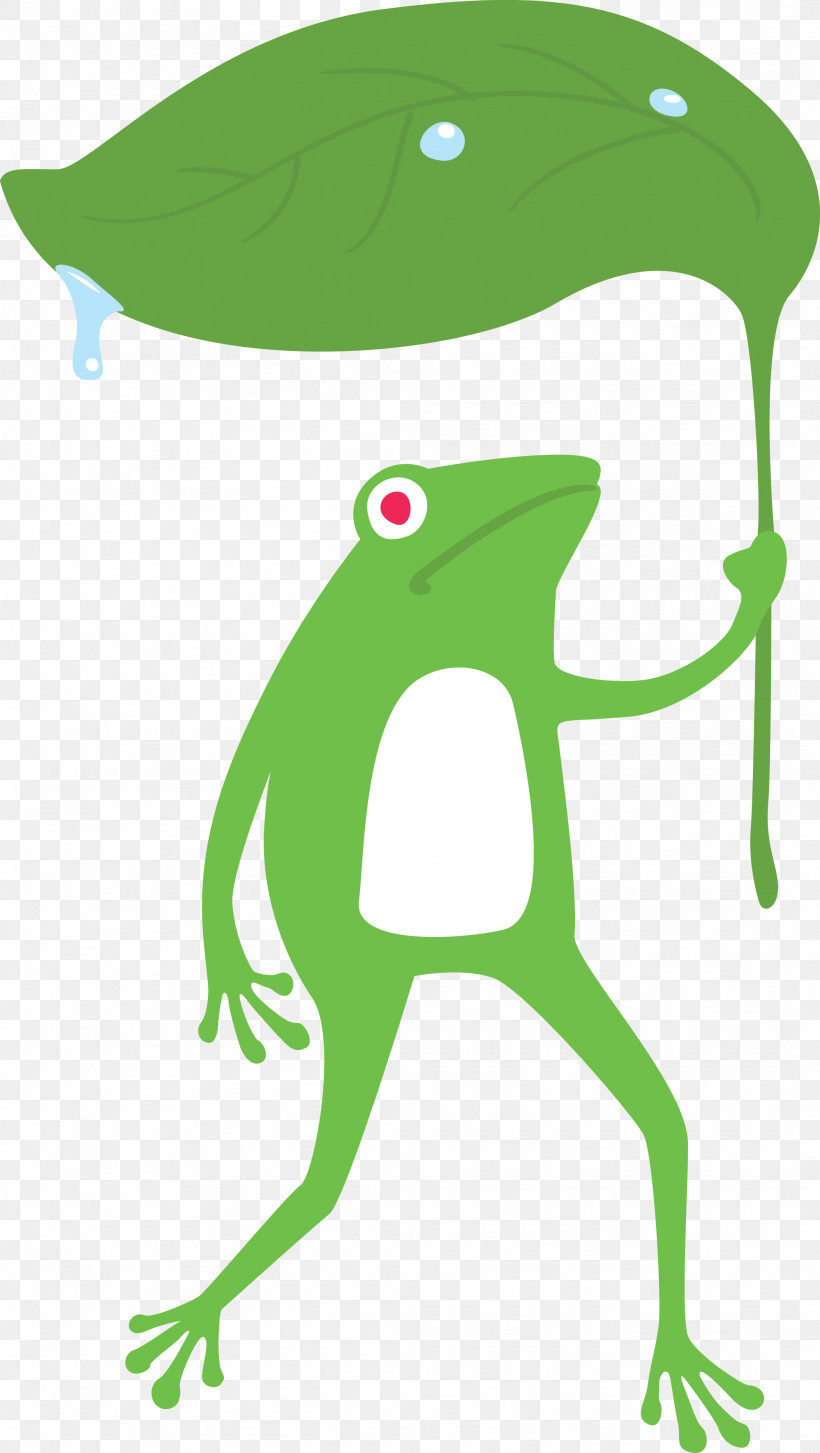 True Frog Toad Frogs Cartoon Tree Frog, PNG, 2105x3731px, Frog, Cartoon, Frogs, Leaf, Toad Download Free
