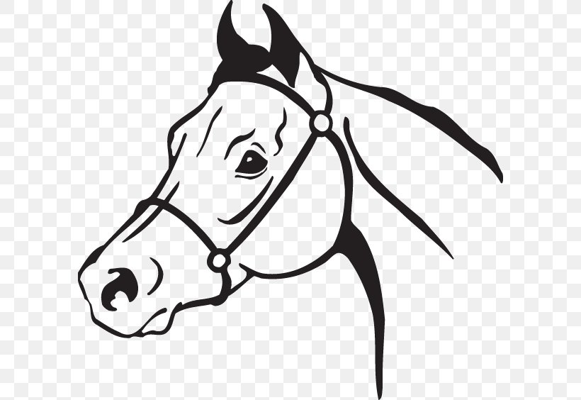 Clip Art American Quarter Horse Openclipart Arabian Horse Mustang, PNG, 600x564px, American Quarter Horse, Arabian Horse, Artwork, Black And White, Bridle Download Free