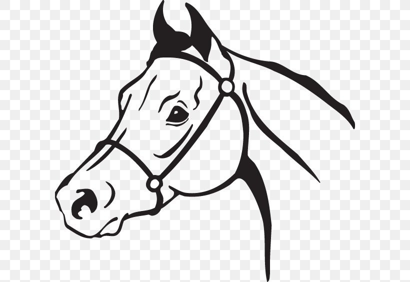 halter horse clipart