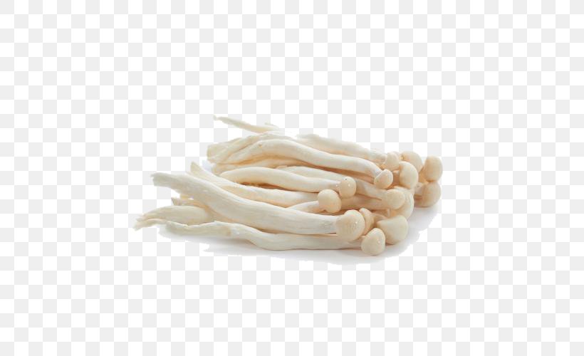 Common Mushroom Fungus, PNG, 500x500px, Mushroom, Button, Commodity, Common Mushroom, Enokitake Download Free