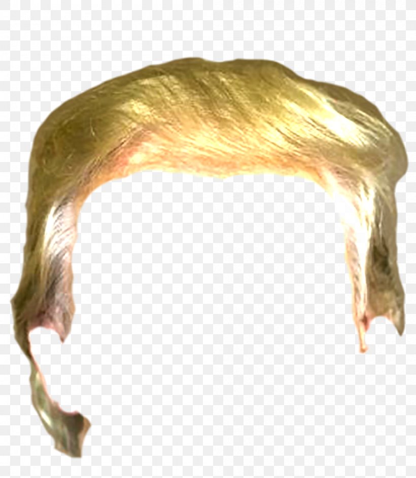 Crippled America Toupée Wig Hair Stop Trump Movement, PNG, 1000x1152px, Crippled America, Donald Trump, Face, Fur, Hair Download Free