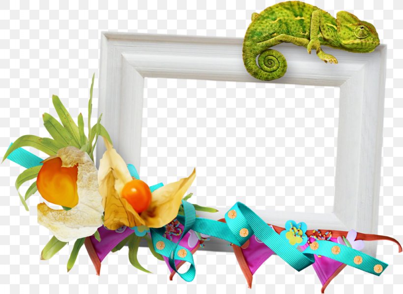 Picture Frames Organism, PNG, 1024x750px, Picture Frames, Organism, Picture Frame Download Free