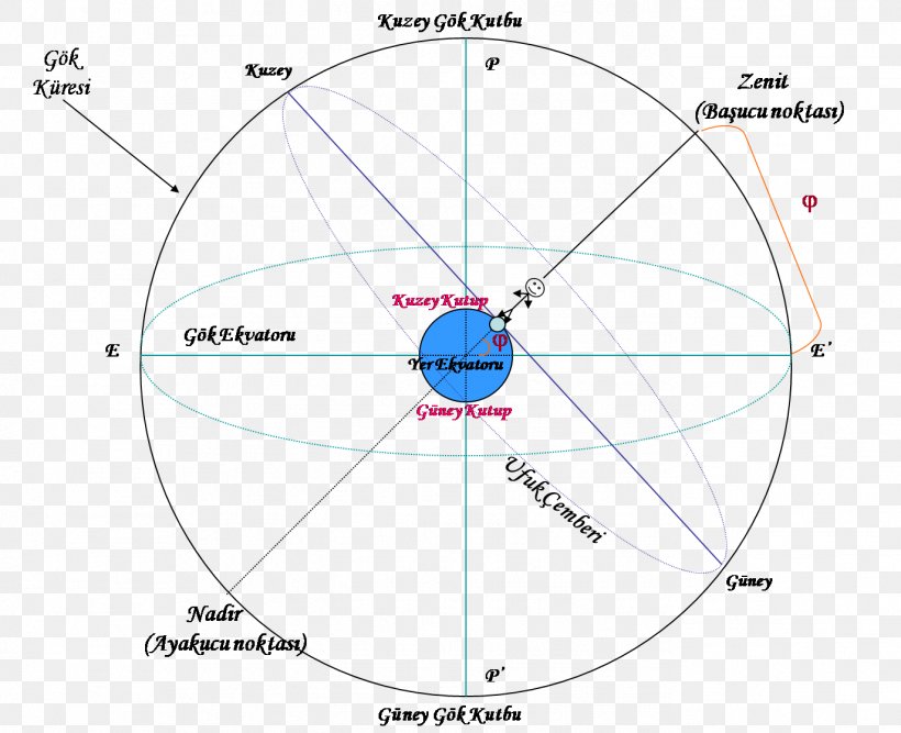 Circle Angle Point Diagram, PNG, 1373x1118px, Point, Area, Diagram, Symmetry Download Free