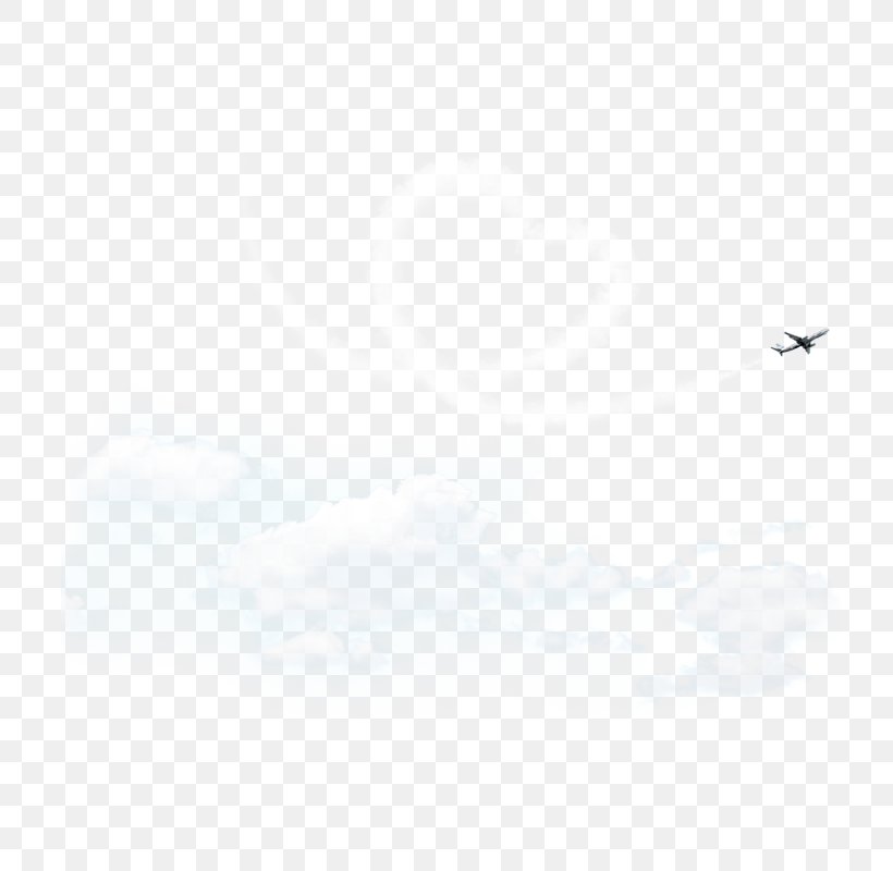 Euclidean Vector Airplane Icon, PNG, 800x800px, Airplane, Black, Black And White, Computer Graphics, Monochrome Download Free