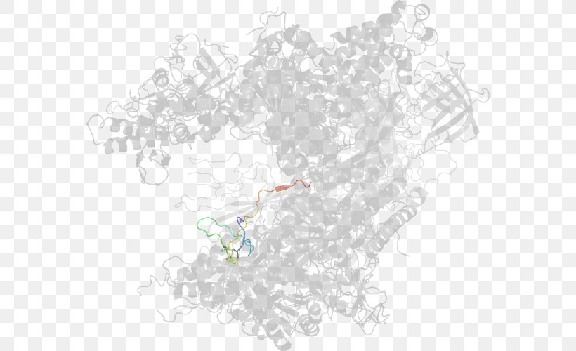 Map Line Tuberculosis, PNG, 575x500px, Map, Area, Border, Branch, Branching Download Free