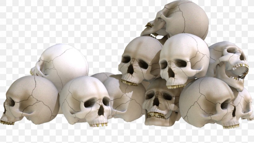 Skull Bone Skeleton, PNG, 900x510px, Skull, Art, Bone, Brain, Deviantart Download Free