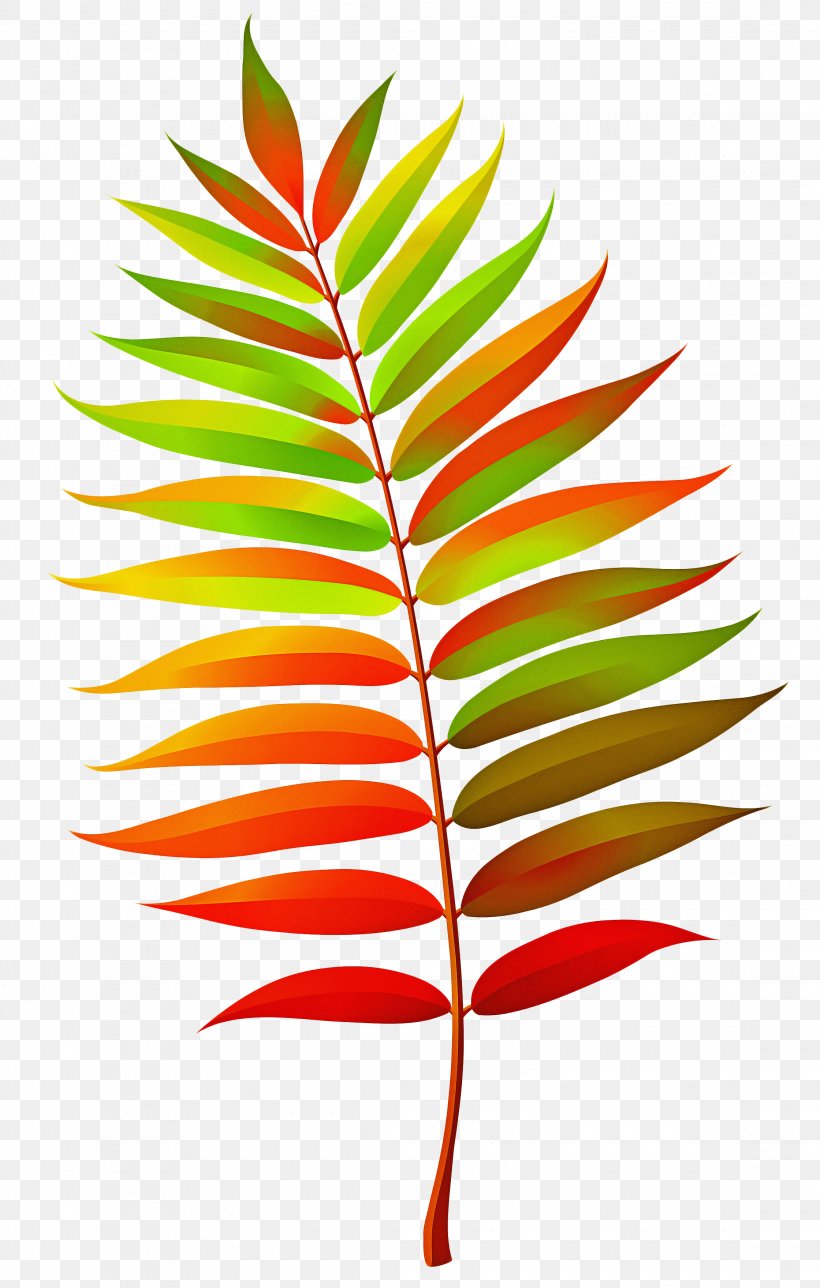 Tree Branch Silhouette, PNG, 2240x3520px, Leaf, Bamboo, Branch, Flower, Heliconia Download Free