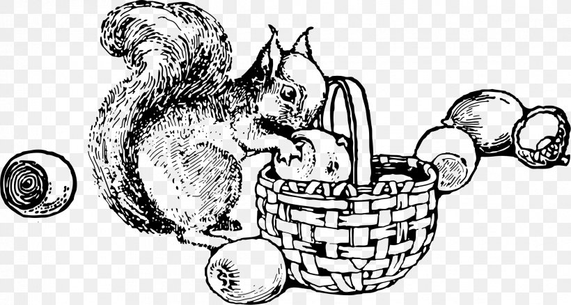 Tree Squirrels A Primer Red Squirrel Clip Art, PNG, 2336x1250px, Tree Squirrels, Art, Artwork, Black And White, Black Squirrel Download Free